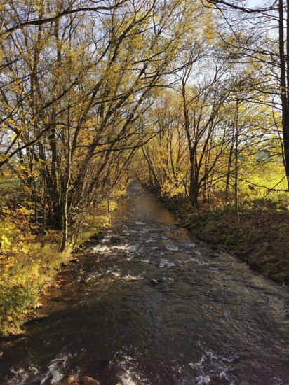 River flows through an autumn forest with yellow trees, Frankenwald nature park Park