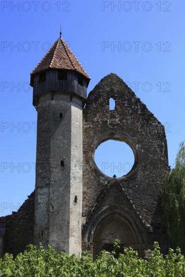 Former Cistercian monastery Carta, Kerz, founded in the 12th century by Cistercian monks and is one of the oldest religious monuments in the region, Sibiu County, Transylvania, Romania