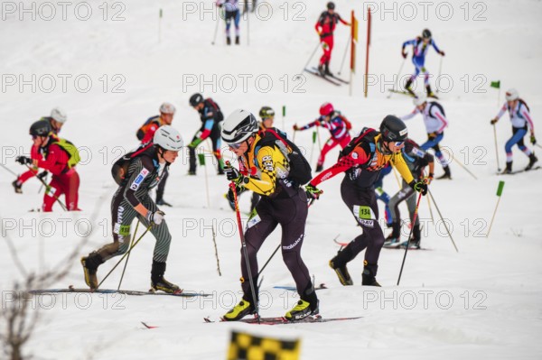 Athletes climbing the ski touring competition Jennerstier, Skimo, Jenner, Schönau am Königssee, Berchtesgadener Land, Upper Bavaria, Bavaria, Germany