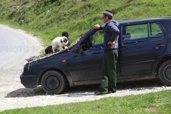 Selling puppies on the street, illegal dealer, Transylvania, Romania