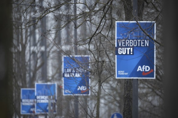 Numerous AfD election posters hang one behind the other on several lamp posts in the northwest of Frankfurt. The Hessian state government has set March 15, 2026 as the election day for the local elections in Hesse. On this day, the elections of the City Council and the 16 local advisory councils will take place in Frankfurt am Main, Germany