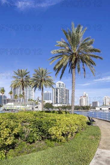 Saint Petersburg Florida promenade on Tampa Bay with palm trees in Downtown St Petersburg, USA