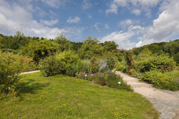 Path, lawn, various plants, flower bed, sky, clouds, Ulm University Botanical Garden, Baden-Württemberg, Germany