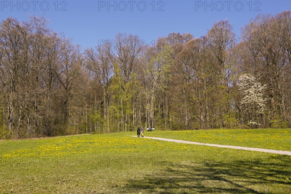 Walkers on path, meadow, bare trees, spring, Ulm University Botanical Garden, Baden-Württemberg, Germany