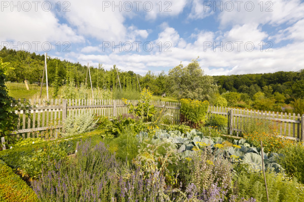 Cottage garden, outdoor area, wooden fence, various crops, flower bed, Ulm University Botanical Garden, Baden-Württemberg, Germany