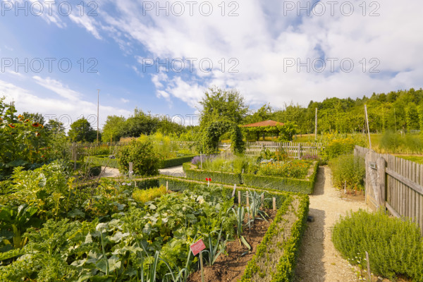 Cottage garden, outdoor area, wooden fence, various crops, flower bed, path, Ulm University Botanical Garden, Baden-Württemberg, Germany