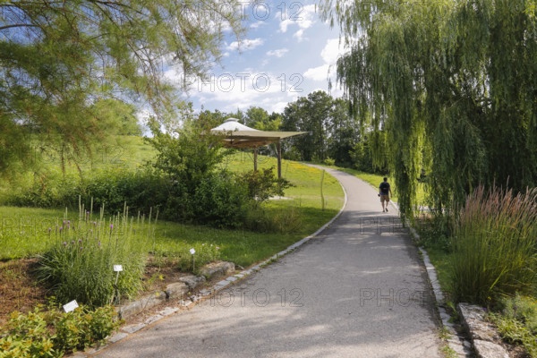 Path, pergola, plants, trees, perennials, meadow, lawn, man with backpack, Ulm University Botanical Garden, Baden-Württemberg, Germany