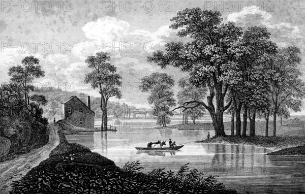 Idyllic river landscape near Albany, New York, USA, Hudson River, rowing boat, animal transport, cattle, group of trees, sandy path, detached house, nature, architecture, steel engraving, historical illustration 1835