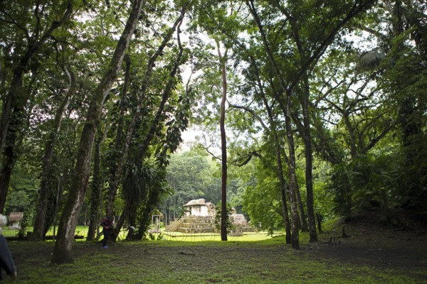 Seibal or El Ceibal Archaeological Site, Mayan Ruined City in the Rainforest or Jungle, Lowlands, Petén Department, Guatemala
