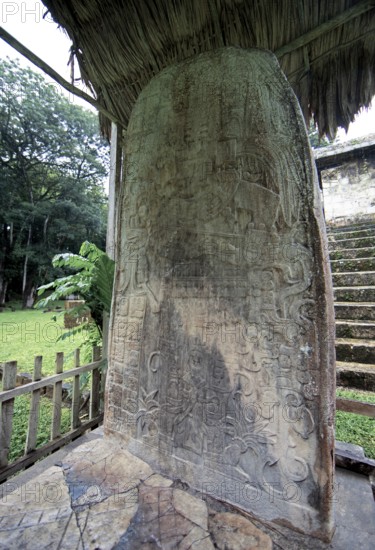 Hieroglyphic Stele in the Seibal or El Ceibal Archaeological Site, Mayan Ruined City in the Rainforest or Jungle, Lowlands, Petén Department, Guatemala