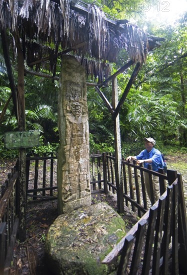 Guatemalan man from the Mayan people looks at a hieroglyphic stele in the Seibal or El Ceibal archaeological site, ruined Mayan city in the rainforest or jungle, lowlands, Petén Department, Guatemala