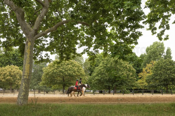Rider, Hyde Park, Westminster, London, England, Great Britain