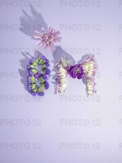 Flowers forming the 8m symbol on a purple background representing international women's day