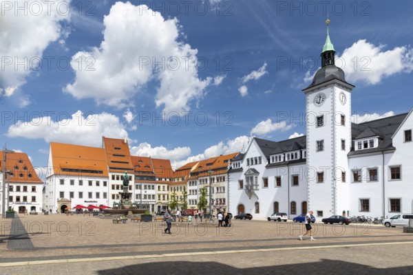 Obermarkt with council pharmacy, town hall and fountain monument with city founder Otto the Reiche, Freiberg, Saxony, Germany