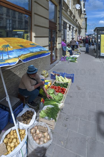 Vegetable sales from simple farmers on the road, Lviv, Galicia, Ukraine