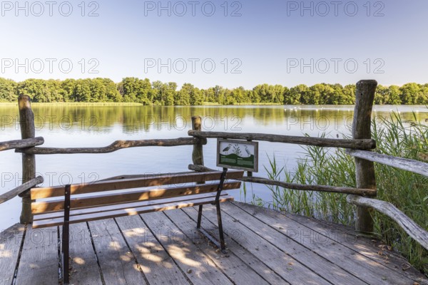 Bench on a viewpoint on the large pond, Guttauer Teiche, Oberlausitzer Heide- und Teichlandschaft, Guttau, Saxony, Germany