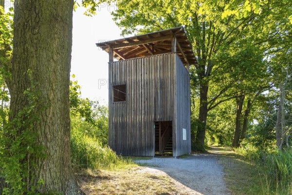Observation tower at Brösaer Teich, Guttauer Teiche, Oberlausitzer Heide- und Teichlandschaft, Guttau, Saxony, Germany