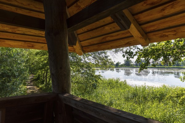 View from the observation tower at Großteich, Guttauer Teiche, Oberlausitzer Heide- und Teichlandschaft, Guttau, Saxony, Germany