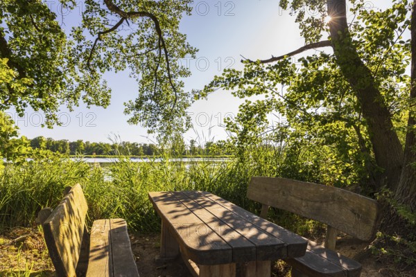 Seating area on the banks of Brösaer Teich, Guttauer Teiche, Oberlausitzer Heide- und Teichlandschaft, Guttau, Saxony, Germany