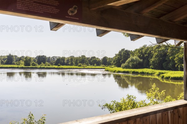View from Brösaer Teich observation tower, Guttauer Teiche, Oberlausitzer Heide- und Teichlandschaft, Guttau, Saxony, Germany