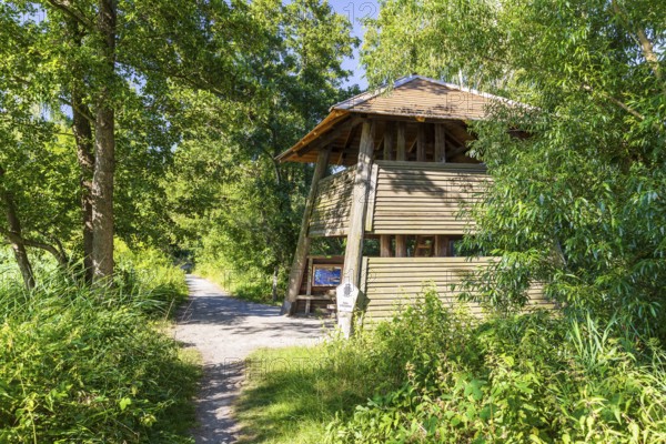 Observation tower on the large pond, Guttau ponds, Upper Lusatian heath and pond landscape, Guttau, Saxony, Germany