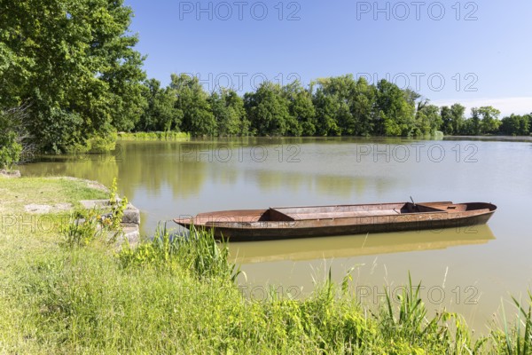 Fishing barge on a fishing pond in the Upper Lusatian heath and pond area, Malschwitz, Saxony, Germany