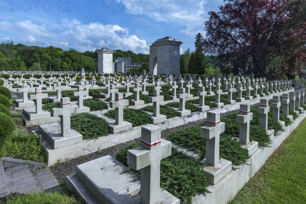 Ukrainian citizen soldier graves on an area of Lützenhofer cemetery Lychakivsky cemetery, Lviv, Galicia, Ukraine