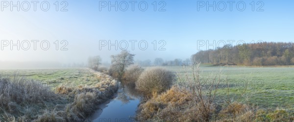 View along a ditch where trees and grasses grow on the shore and the morning dew is frozen, Winter, Wehden, Cuxhaven, Lower Saxony, Germany