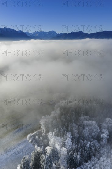 Winter landscape, fog, high fog, mountain landscape, hoarfrost, cold, trees, forest, winter, sunny, aerial view, view of Zugspitze, Laber, foothills of the Alps, Bavaria, Germany