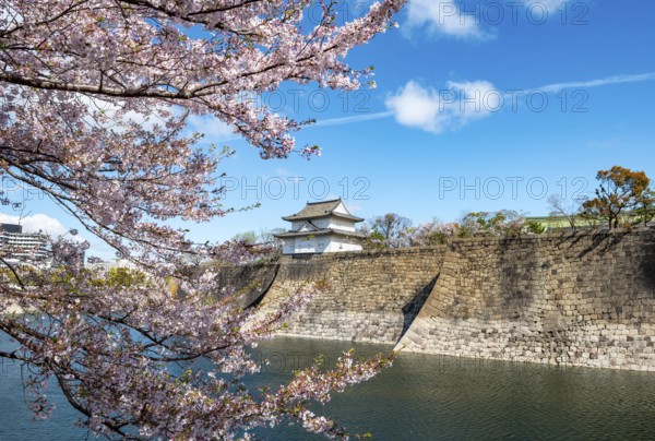 Watch tower at Osaka Castle Wall, blooming cherry trees in a moat park with water, Chuo-ku, Osaka, Japan