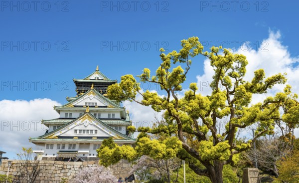 Osaka castle among trees in the park, Osaka Castle Park, Chuo-ku, Osaka, Japan