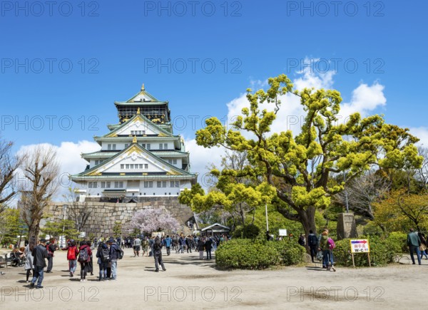 Osaka castle among trees in the park, visitors in Osaka Castle Park, Chuo-ku, Osaka, Japan