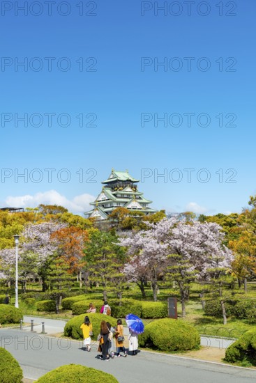 Osaka castle with blooming cherry trees in the park, visitors on a path through Osaka Castle Park, Chuo-ku, Osaka, Japan