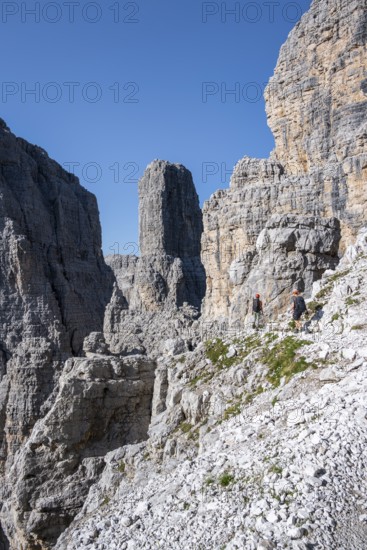 Mountaineers on the Bocchette Centrale band trail, via ferrata in the Brenta Mountains, Brenta-Adamello Natural Park, Trentino, Italy
