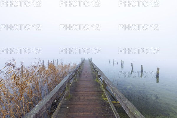 Wooden jetty at Lake Ratzeburg, Ratzeburger See in the mist, Lauenburg Lakes Nature Park, Naturpark Lauenburgische Seen, Schleswig-Holstein, Germany