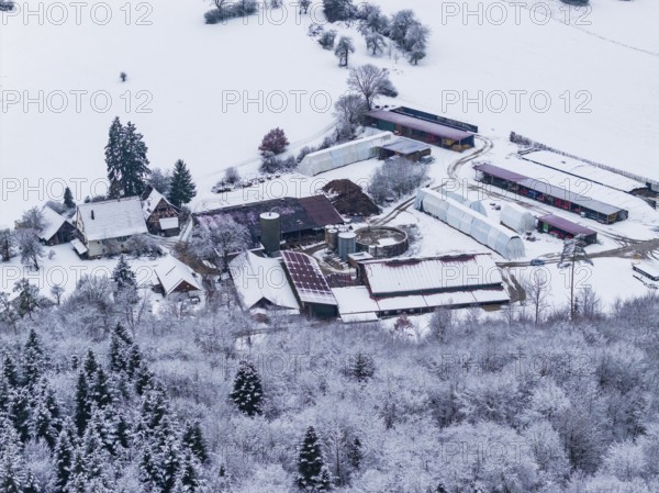 Farmhouse surrounded by snow-covered fields and forests in a wintry landscape, Haselstaller Hof, Gechingen, Calw district, Germany