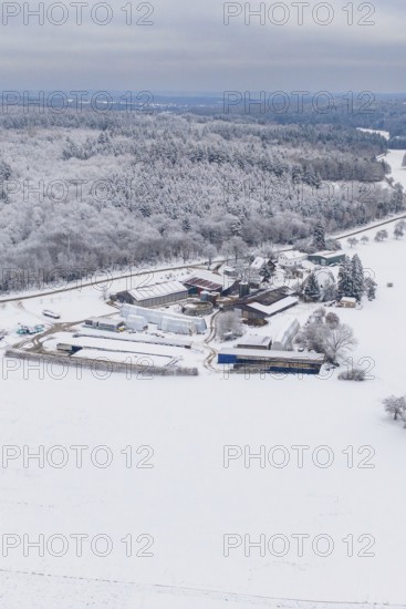 Snowy landscape with a farm surrounded by forests under a grey sky, Haselstaller Hof, Gechingen, Calw district, Germany