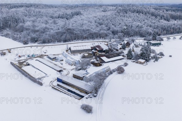 Snow-covered farm in an open winter landscape, surrounded by forests, Haselstaller Hof, Gechingen, Calw district, Germany