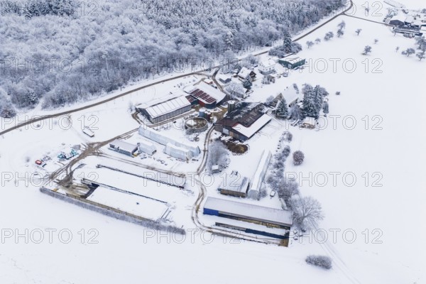 Snow-covered farm in the middle of a snowy landscape with adjacent forests, Haselstaller Hof, Gechingen, Calw district, Germany