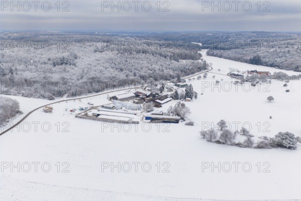 Snowy field with forest in the background under cloudy sky, Haselstaller Hof, Gechingen, Calw district, Germany