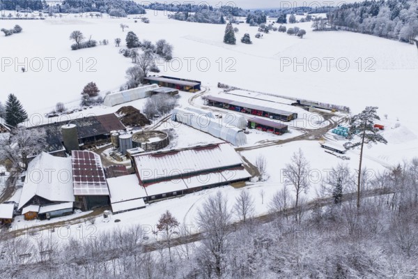 A snow-covered farm in hilly, quiet countryside, Haselstaller Hof, Gechingen, Calw district, Germany