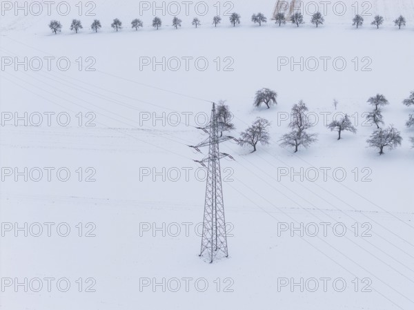 Single power pole on a white snowfield with scattered trees in the background, substation, Jettingen, Germany