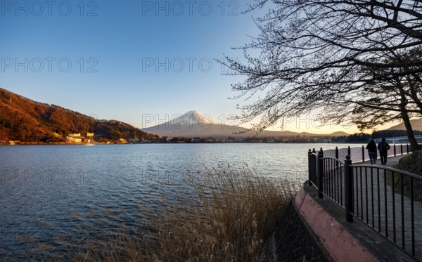 Kawaguchi Lake waterfront, view of Mount Fuji volcano at sunset, Yamanashi Prefecture, Japan
