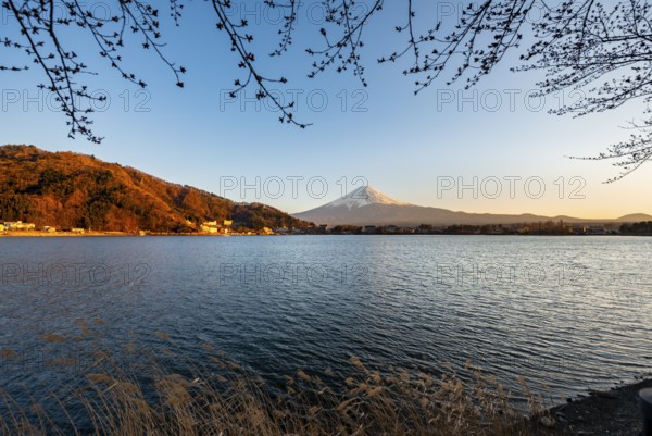 Lake Kawaguchi, view of Mount Fuji volcano at sunset, Yamanashi Prefecture, Japan