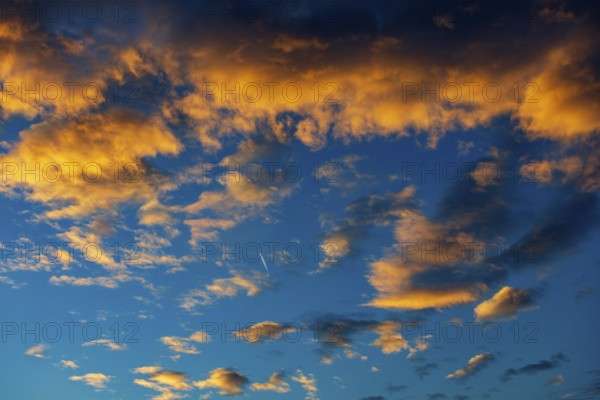 Aircraft contrails with red clouds, sunrise, Upper Austria