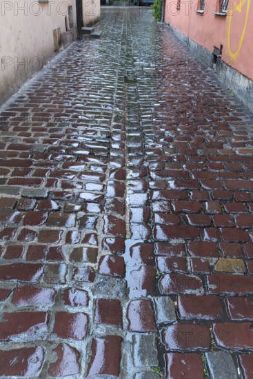 Rain-soaked cobblestones in an alley, Krakow, Poland