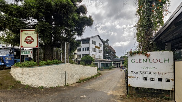 Entrance area of a facility with signs, trees and cloudy sky, tea factory in the mountains near Kandy Sri Lanka
