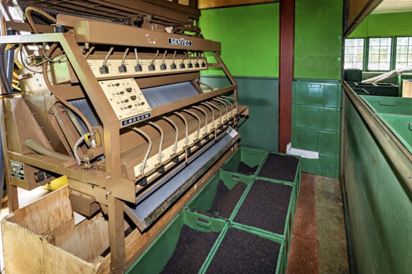 Industrial machine in a factory with green containers standing in an interior, tea factory in the mountains near Kandy Sri Lanka