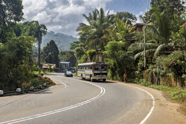 Curvy road through tropical landscape with bus and car surrounded by trees and palm trees under a cloudy sky, traffic on the roads in the mountains near Kanky in Sri Lanka