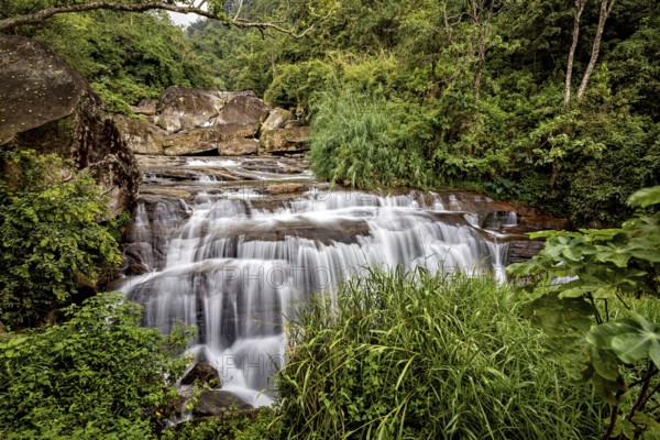 A gentle waterfall flows through a green jungle surrounded by lush plants and rocks, waterfall in the mountains of Kandy in Sri Lanka
